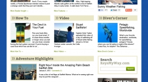 Wordpress Plug in Wordpress Plug in